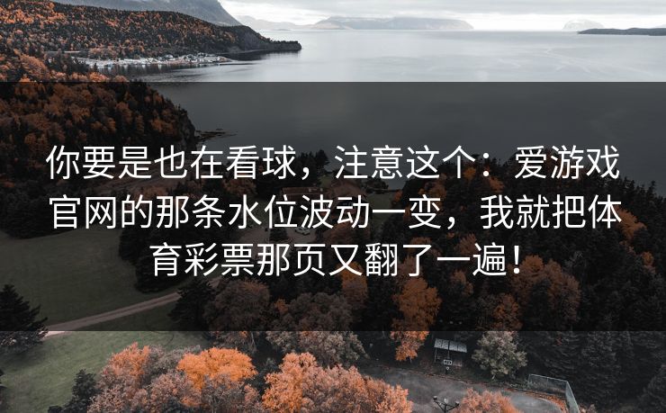 你要是也在看球，注意这个：爱游戏官网的那条水位波动一变，我就把体育彩票那页又翻了一遍！