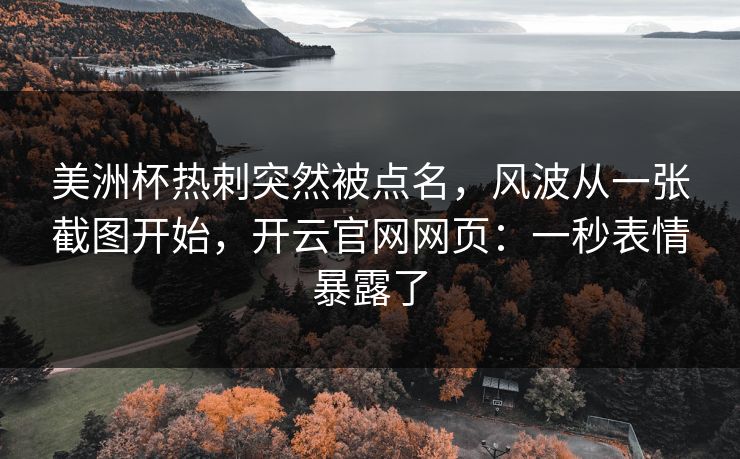 美洲杯热刺突然被点名，风波从一张截图开始，开云官网网页：一秒表情暴露了