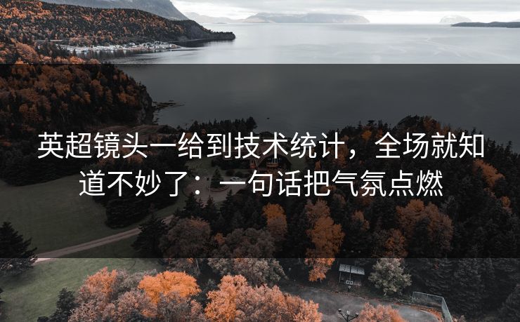英超镜头一给到技术统计，全场就知道不妙了：一句话把气氛点燃
